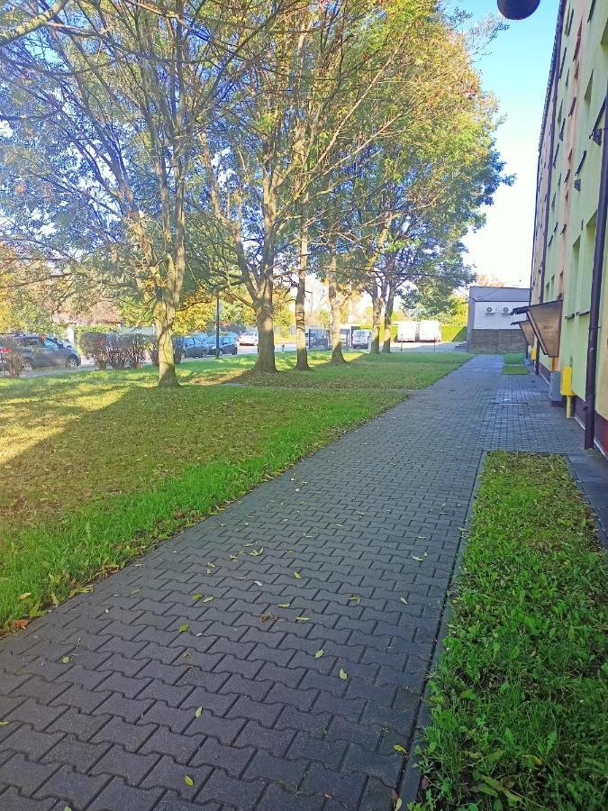 Apartament Zabrze Grzybowska Exterior foto